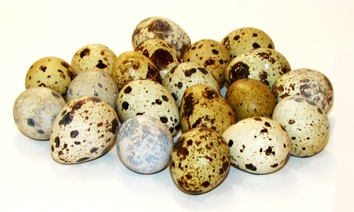 quail eggs