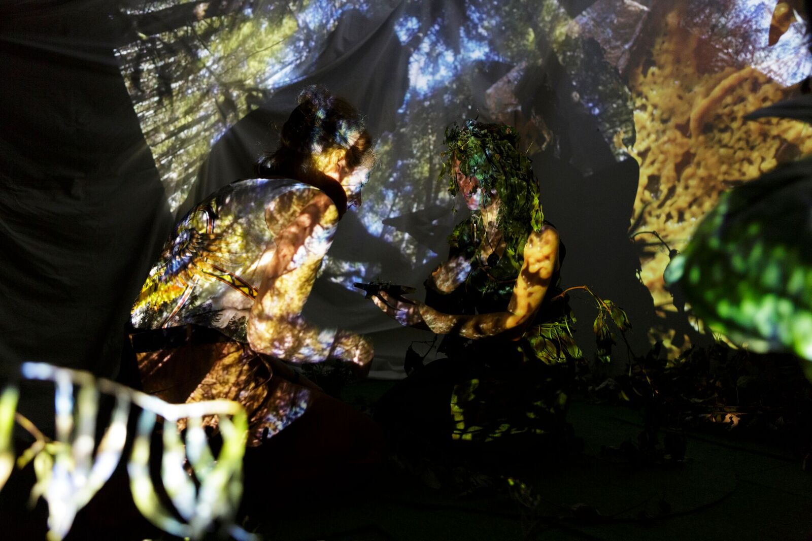 Far-See-ErLeonieInteraction